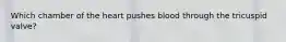 Which chamber of the heart pushes blood through the tricuspid valve?