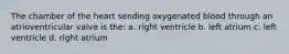 The chamber of the heart sending oxygenated blood through an atrioventricular valve is the: a. right ventricle b. left atrium c. left ventricle d. right atrium