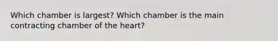 Which chamber is largest? Which chamber is the main contracting chamber of the heart?