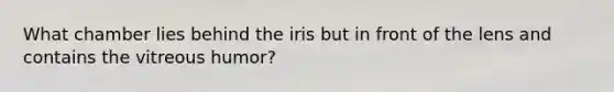 What chamber lies behind the iris but in front of the lens and contains the vitreous humor?