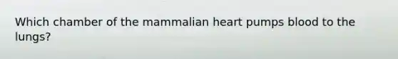 Which chamber of the mammalian heart pumps blood to the lungs?