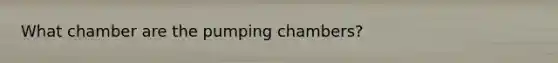 What chamber are the pumping chambers?