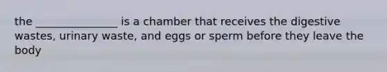 the _______________ is a chamber that receives the digestive wastes, urinary waste, and eggs or sperm before they leave the body