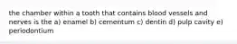 the chamber within a tooth that contains blood vessels and nerves is the a) enamel b) cementum c) dentin d) pulp cavity e) periodontium