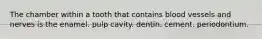 The chamber within a tooth that contains blood vessels and nerves is the enamel. pulp cavity. dentin. cement. periodontium.