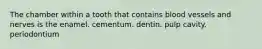 The chamber within a tooth that contains blood vessels and nerves is the enamel. cementum. dentin. pulp cavity. periodontium