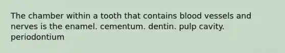 The chamber within a tooth that contains blood vessels and nerves is the enamel. cementum. dentin. pulp cavity. periodontium