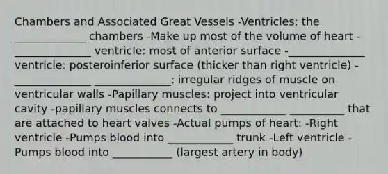 Chambers and Associated Great Vessels -Ventricles: the _____________ chambers -Make up most of the volume of heart -______________ ventricle: most of anterior surface -______________ ventricle: posteroinferior surface (thicker than right ventricle) -______________ ______________: irregular ridges of muscle on ventricular walls -Papillary muscles: project into ventricular cavity -papillary muscles connects to ____________ __________ that are attached to heart valves -Actual pumps of heart: -Right ventricle -Pumps blood into ____________ trunk -Left ventricle -Pumps blood into ___________ (largest artery in body)