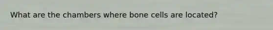 What are the chambers where bone cells are located?