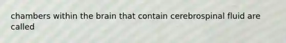 chambers within the brain that contain cerebrospinal fluid are called