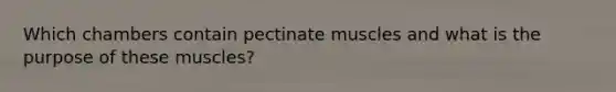 Which chambers contain pectinate muscles and what is the purpose of these muscles?