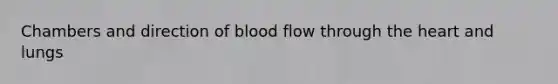 Chambers and direction of blood flow through the heart and lungs