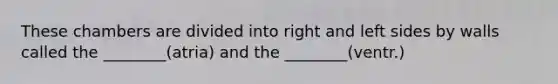 These chambers are divided into right and left sides by walls called the ________(atria) and the ________(ventr.)