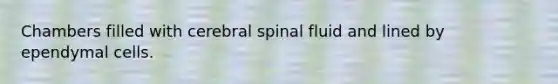 Chambers filled with cerebral spinal fluid and lined by ependymal cells.