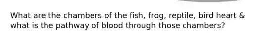 What are the chambers of the fish, frog, reptile, bird heart & what is the pathway of blood through those chambers?