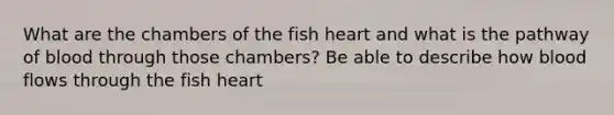 What are the chambers of the fish heart and what is the pathway of blood through those chambers? Be able to describe how blood flows through the fish heart