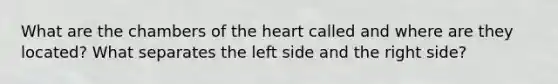 What are the chambers of the heart called and where are they located? What separates the left side and the right side?