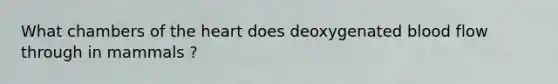 What chambers of the heart does deoxygenated blood flow through in mammals ?