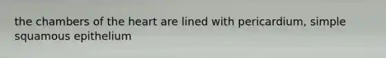 the chambers of the heart are lined with pericardium, simple squamous epithelium
