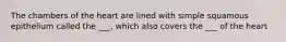The chambers of the heart are lined with simple squamous epithelium called the ___, which also covers the ___ of the heart