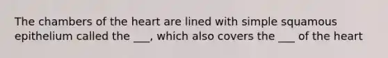 The chambers of the heart are lined with simple squamous epithelium called the ___, which also covers the ___ of the heart