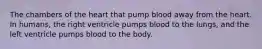 The chambers of the heart that pump blood away from the heart. In humans, the right ventricle pumps blood to the lungs, and the left ventricle pumps blood to the body.