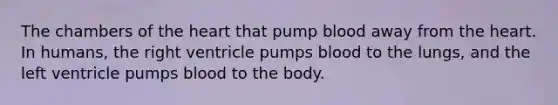 The chambers of the heart that pump blood away from the heart. In humans, the right ventricle pumps blood to the lungs, and the left ventricle pumps blood to the body.