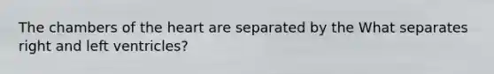 The chambers of the heart are separated by the What separates right and left ventricles?