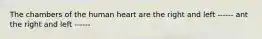 The chambers of the human heart are the right and left ------ ant the right and left ------