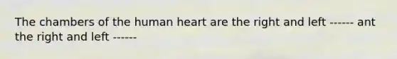 The chambers of the human heart are the right and left ------ ant the right and left ------