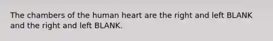 The chambers of the human heart are the right and left BLANK and the right and left BLANK.