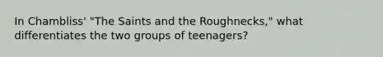 In Chambliss' "The Saints and the Roughnecks," what differentiates the two groups of teenagers?