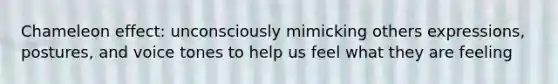 Chameleon effect: unconsciously mimicking others expressions, postures, and voice tones to help us feel what they are feeling