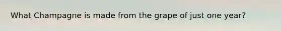 What Champagne is made from the grape of just one year?