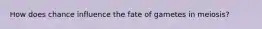 How does chance influence the fate of gametes in meiosis?