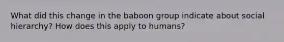 What did this change in the baboon group indicate about social hierarchy? How does this apply to humans?