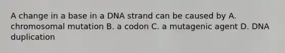 A change in a base in a DNA strand can be caused by A. chromosomal mutation B. a codon C. a mutagenic agent D. DNA duplication