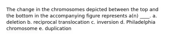 The change in the chromosomes depicted between the top and the bottom in the accompanying figure represents a(n) ____. a. deletion b. reciprocal translocation c. inversion d. Philadelphia chromosome e. duplication