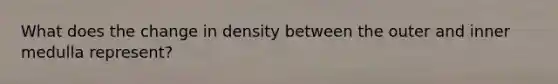 What does the change in density between the outer and inner medulla represent?