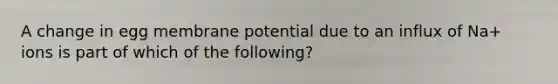 A change in egg membrane potential due to an influx of Na+ ions is part of which of the following?