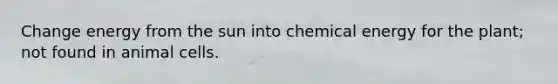 Change energy from the sun into chemical energy for the plant; not found in animal cells.