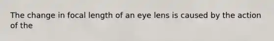 The change in focal length of an eye lens is caused by the action of the