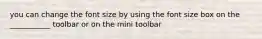 you can change the font size by using the font size box on the ___________ toolbar or on the mini toolbar