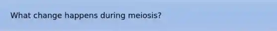 What change happens during meiosis?