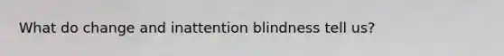 What do change and inattention blindness tell us?