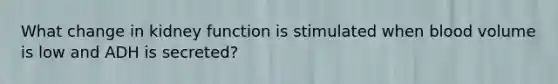 What change in kidney function is stimulated when blood volume is low and ADH is secreted?