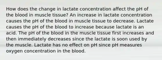 How does the change in lactate concentration affect the pH of the blood in muscle tissue? An increase in lactate concentration causes the pH of the blood in muscle tissue to decrease. Lactate causes the pH of the blood to increase because lactate is an acid. The pH of the blood in the muscle tissue first increases and then immediately decreases since the lactate is soon used by the muscle. Lactate has no effect on pH since pH measures oxygen concentration in the blood.