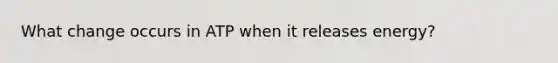 What change occurs in ATP when it releases energy?