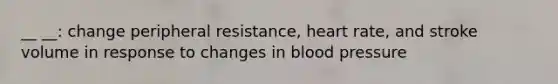 __ __: change peripheral resistance, heart rate, and stroke volume in response to changes in blood pressure