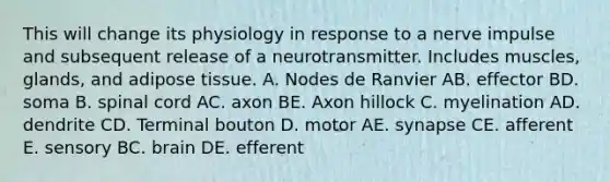 This will change its physiology in response to a nerve impulse and subsequent release of a neurotransmitter. Includes muscles, glands, and adipose tissue. A. Nodes de Ranvier AB. effector BD. soma B. spinal cord AC. axon BE. Axon hillock C. myelination AD. dendrite CD. Terminal bouton D. motor AE. synapse CE. afferent E. sensory BC. brain DE. efferent